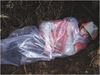 Picture of EMERGENCY SLEEPING BAG